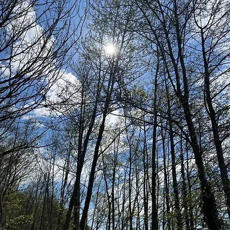 Δωμάτια σε οικογενειακή κατοικία Riverside *
