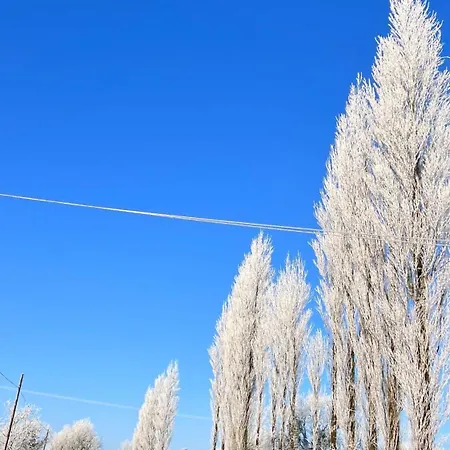 Δωμάτια σε οικογενειακή κατοικία Riverside Raheelan