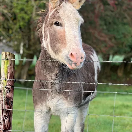 Privat bolig Riverside