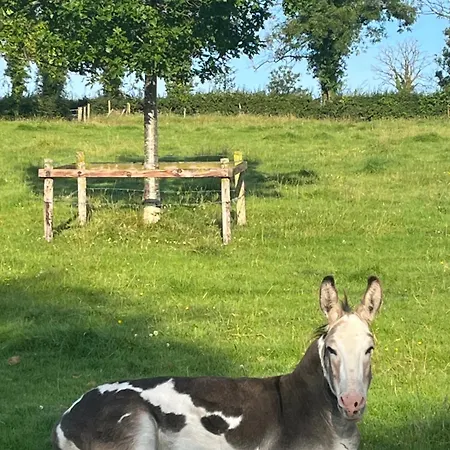 Riverside Privat bolig