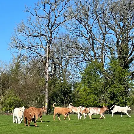 Riverside * Raheelan