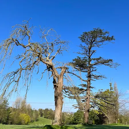 Riverside Homestay szállás