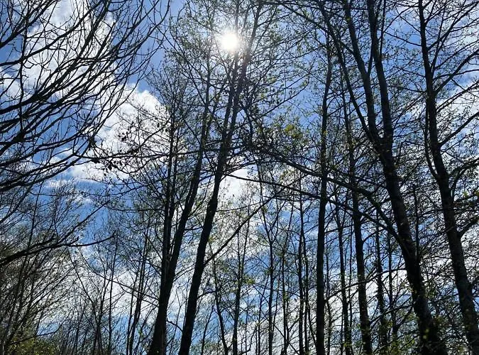 Ubytování v soukromí Riverside *