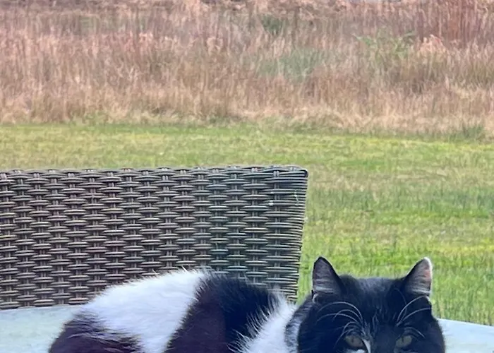 Ubytování v soukromí Riverside *