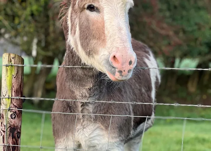 Ubytování v soukromí Riverside