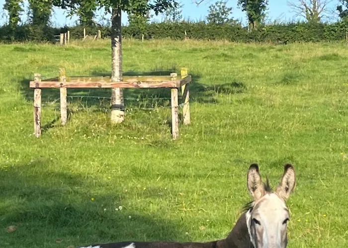 Riverside Ubytování v soukromí