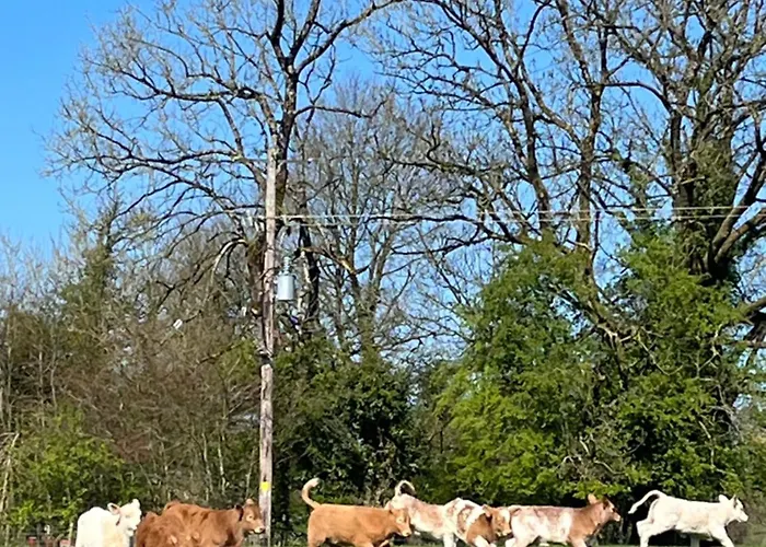 Riverside * Raheelan